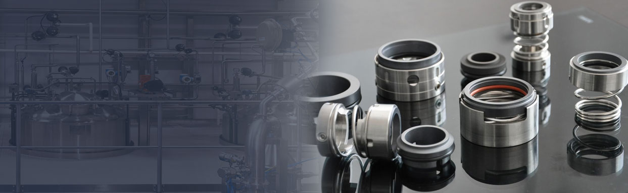 Mechanical Seals Manufacturer and Supplier